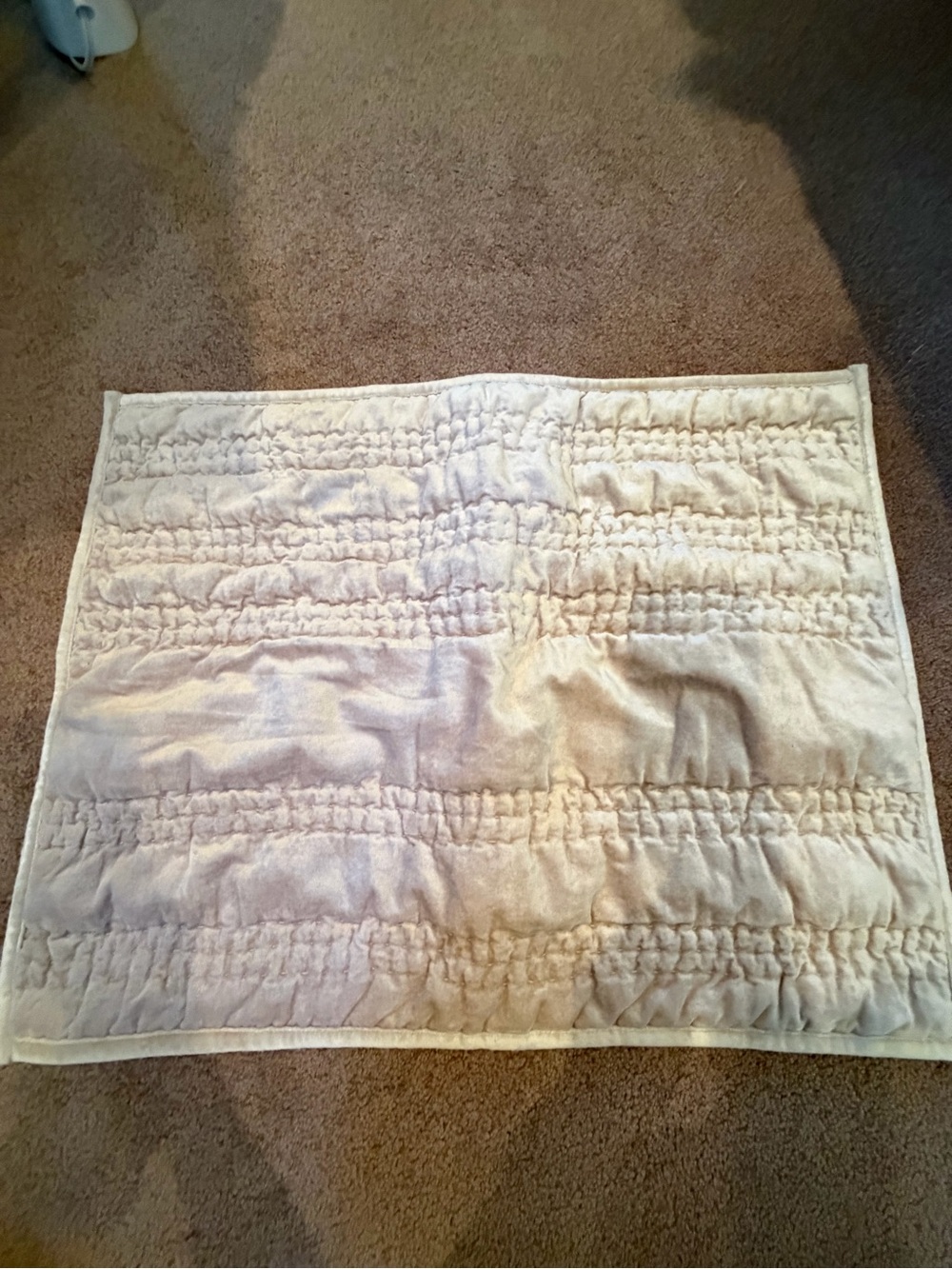Anthropologie lustered velvet Alastair pillow cover sham cream pearl beige - Picture 3 of 10